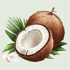 <h2><strong>100% Coconut Wax</strong><br/></h2>