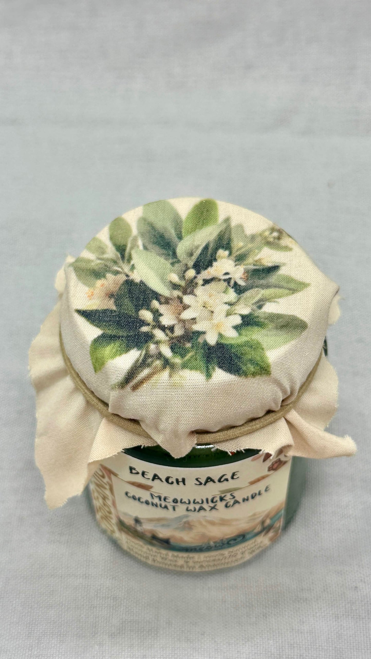 Beach Sage